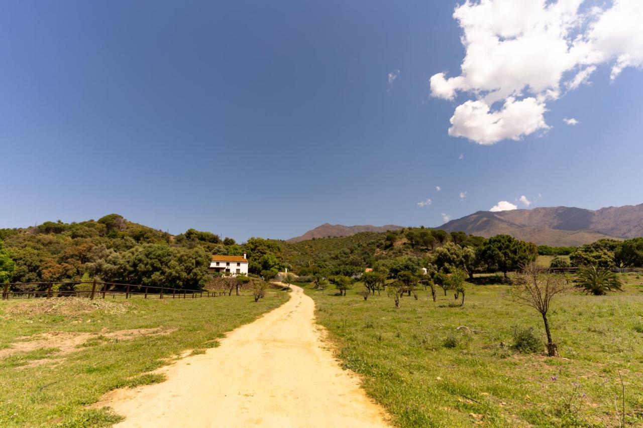 Finca Sta Teresa, Casa Grande Estepona Bagian luar foto