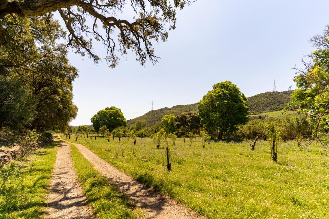 Finca Sta Teresa, Casa Grande Estepona Bagian luar foto