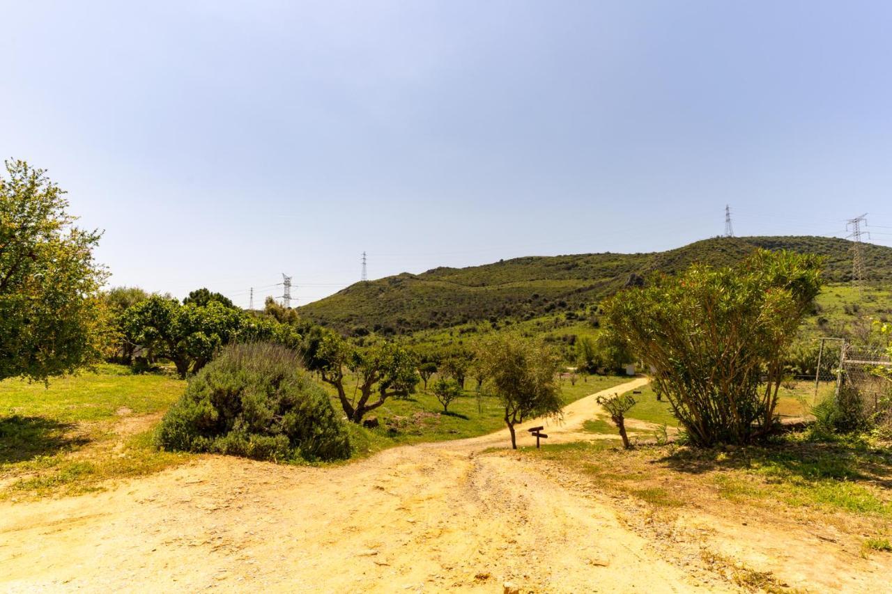 Finca Sta Teresa, Casa Grande Estepona Bagian luar foto