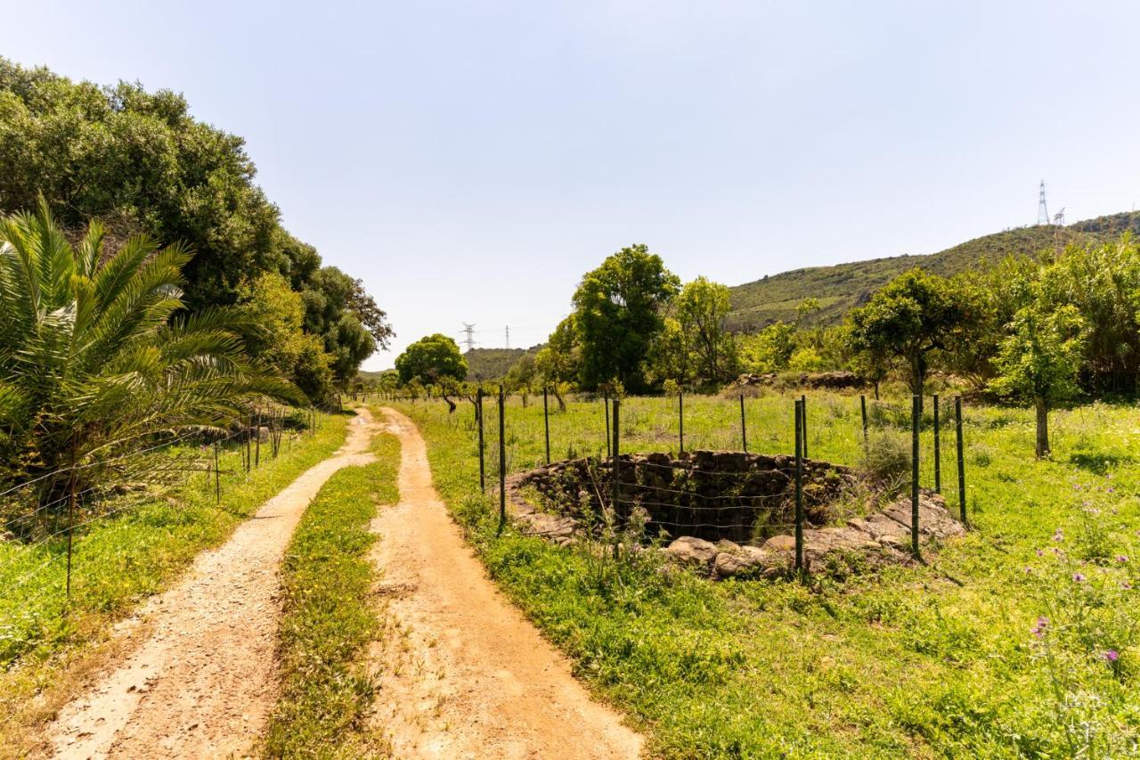 Finca Sta Teresa, Casa Grande Estepona Bagian luar foto