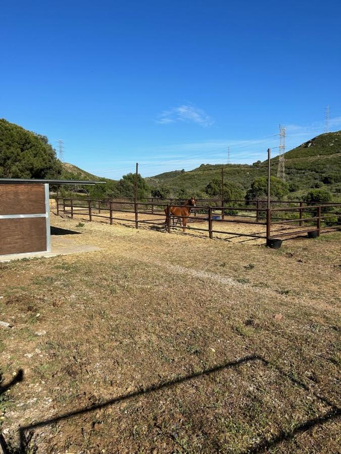 Finca Sta Teresa, Casa Grande Estepona Bagian luar foto