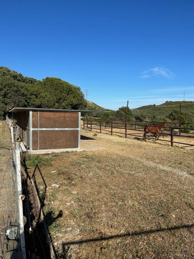 Finca Sta Teresa, Casa Grande Estepona Bagian luar foto