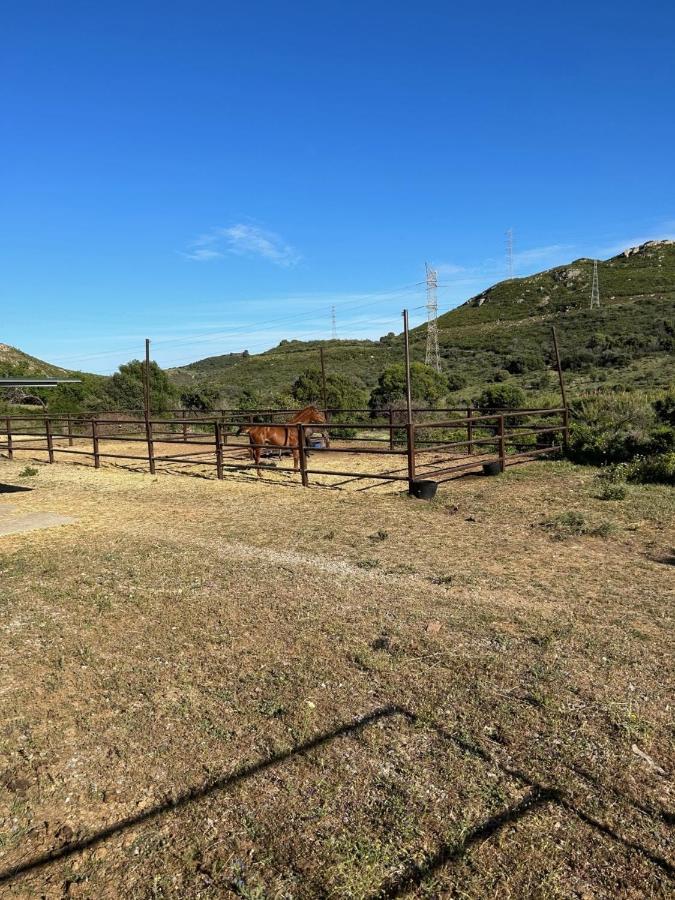 Finca Sta Teresa, Casa Grande Estepona Bagian luar foto